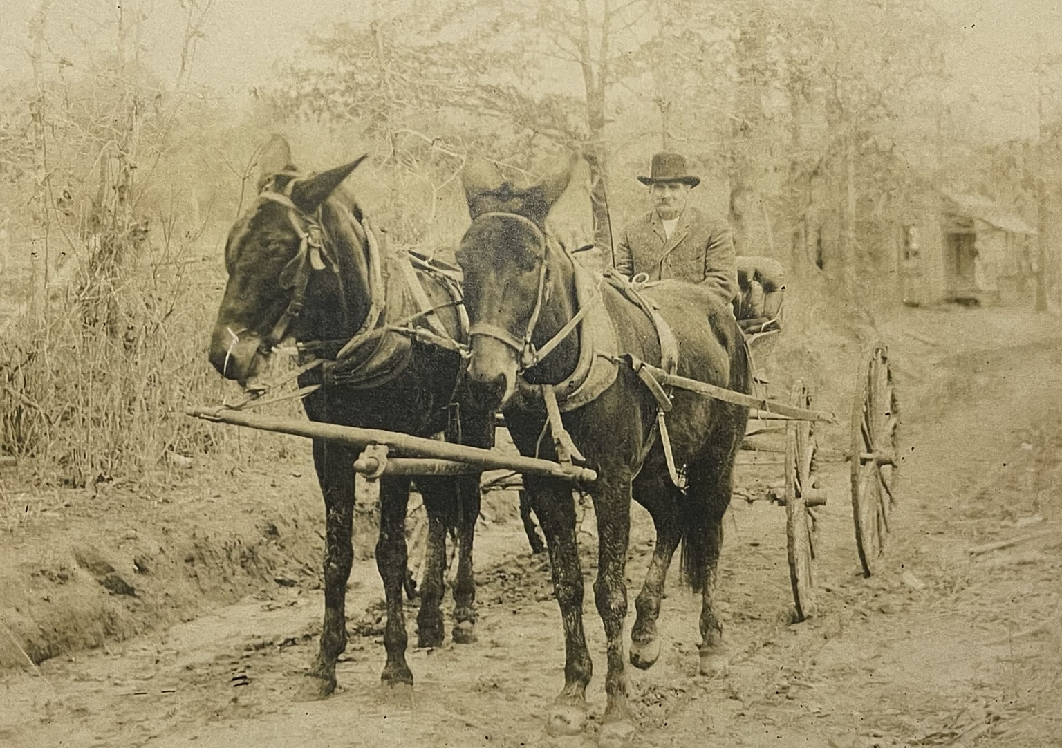 Archival photograph — an Earnest family ancestor with a mule-drawn cart on a rural Virginia road